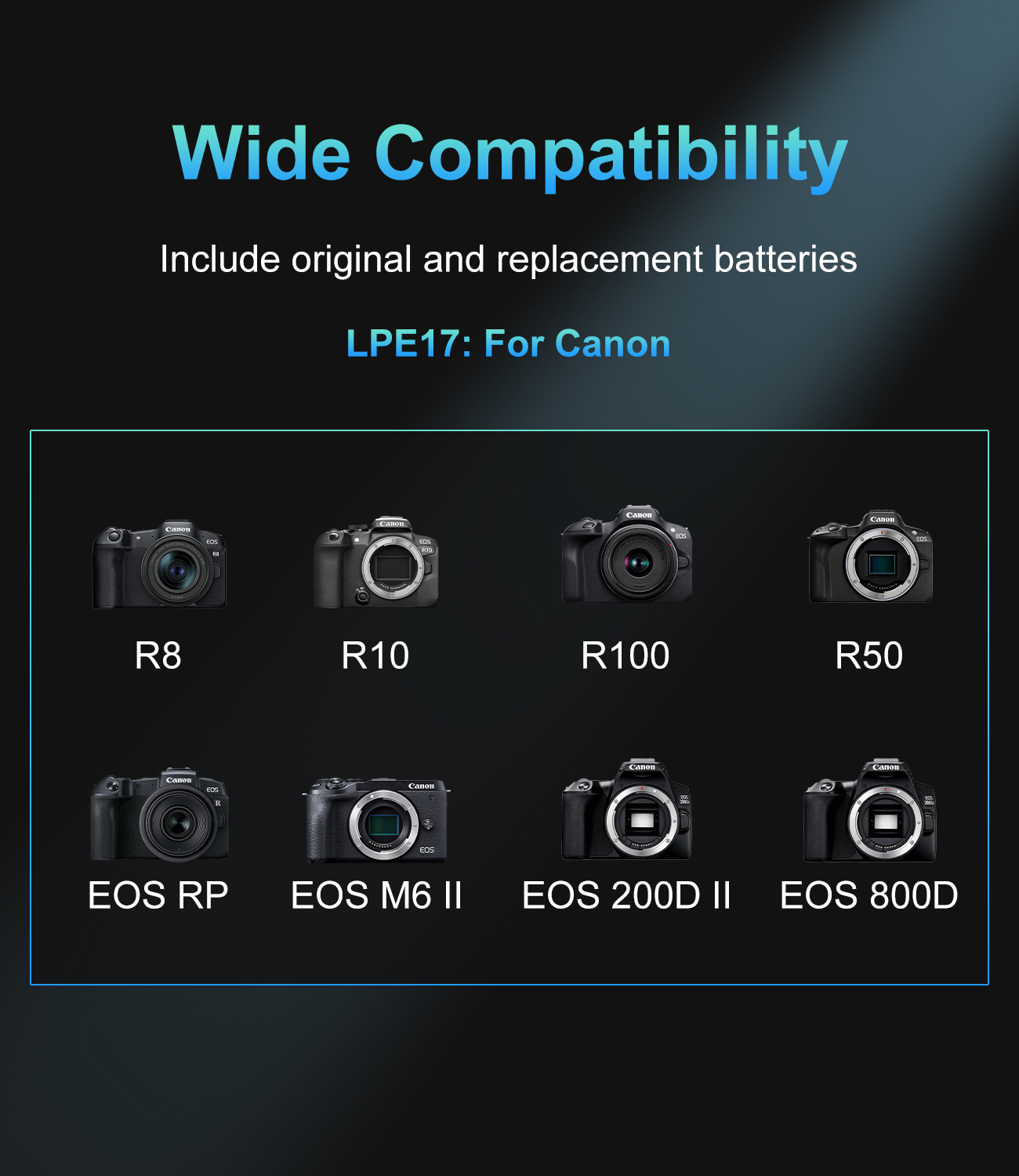 20W USB-C PD Dual Slot Charger - Canon Camera Eos R50 评论和价格